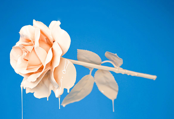 Portfolio project 6 screenshot